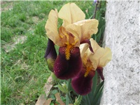 7ee48671-Picture 705.jpg